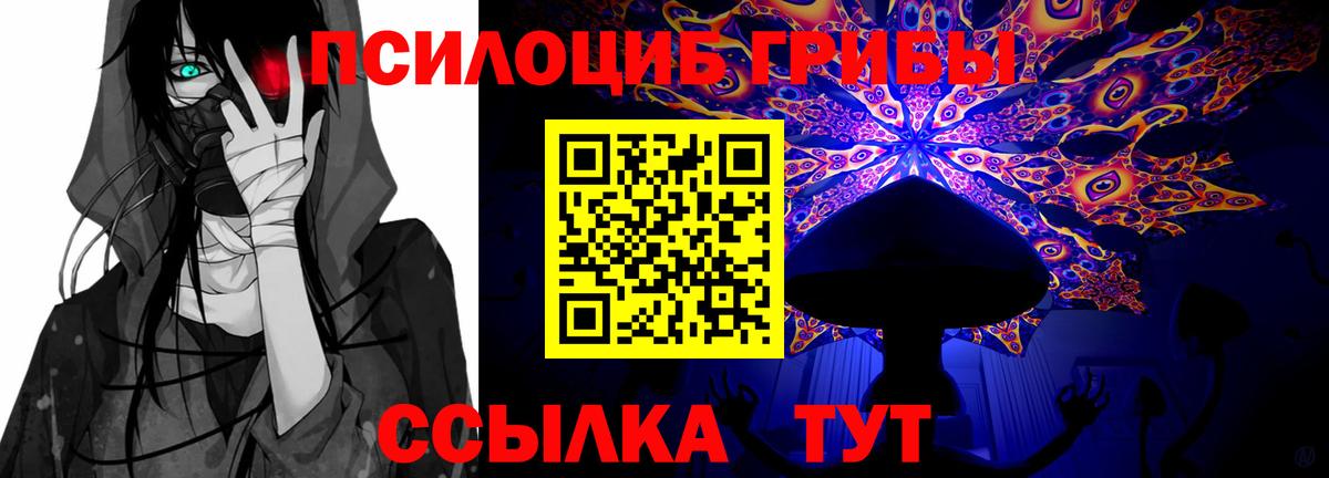 Азов  Галлюциногенные грибы прущие грибы  Вход с VPN 